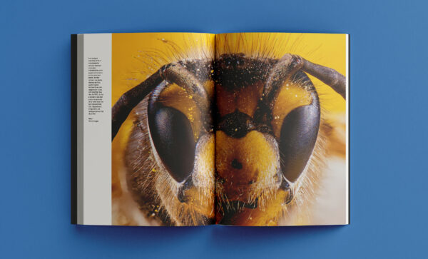 Revista Arrels #18 / Primavera 2025 - Imatge 9