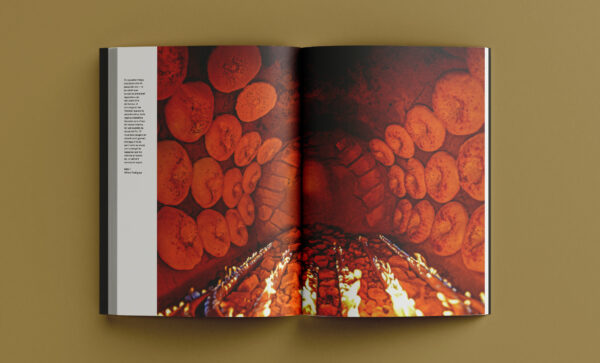 Revista Arrels #20 / Tardor 2025 - Imatge 3