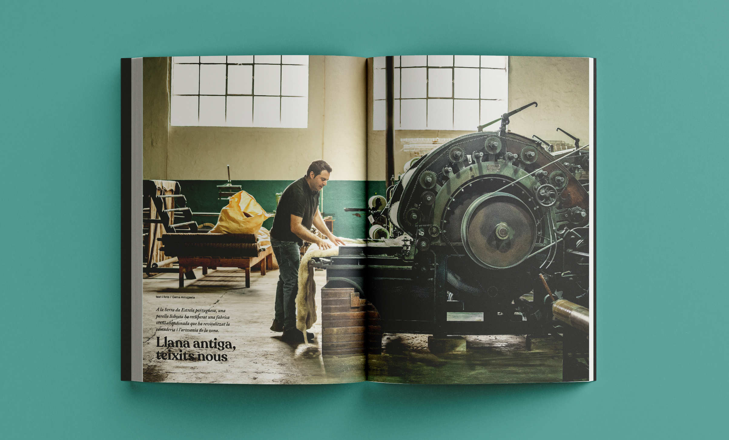 Revista Arrels #21 / Hivern 2026 - Imatge 8