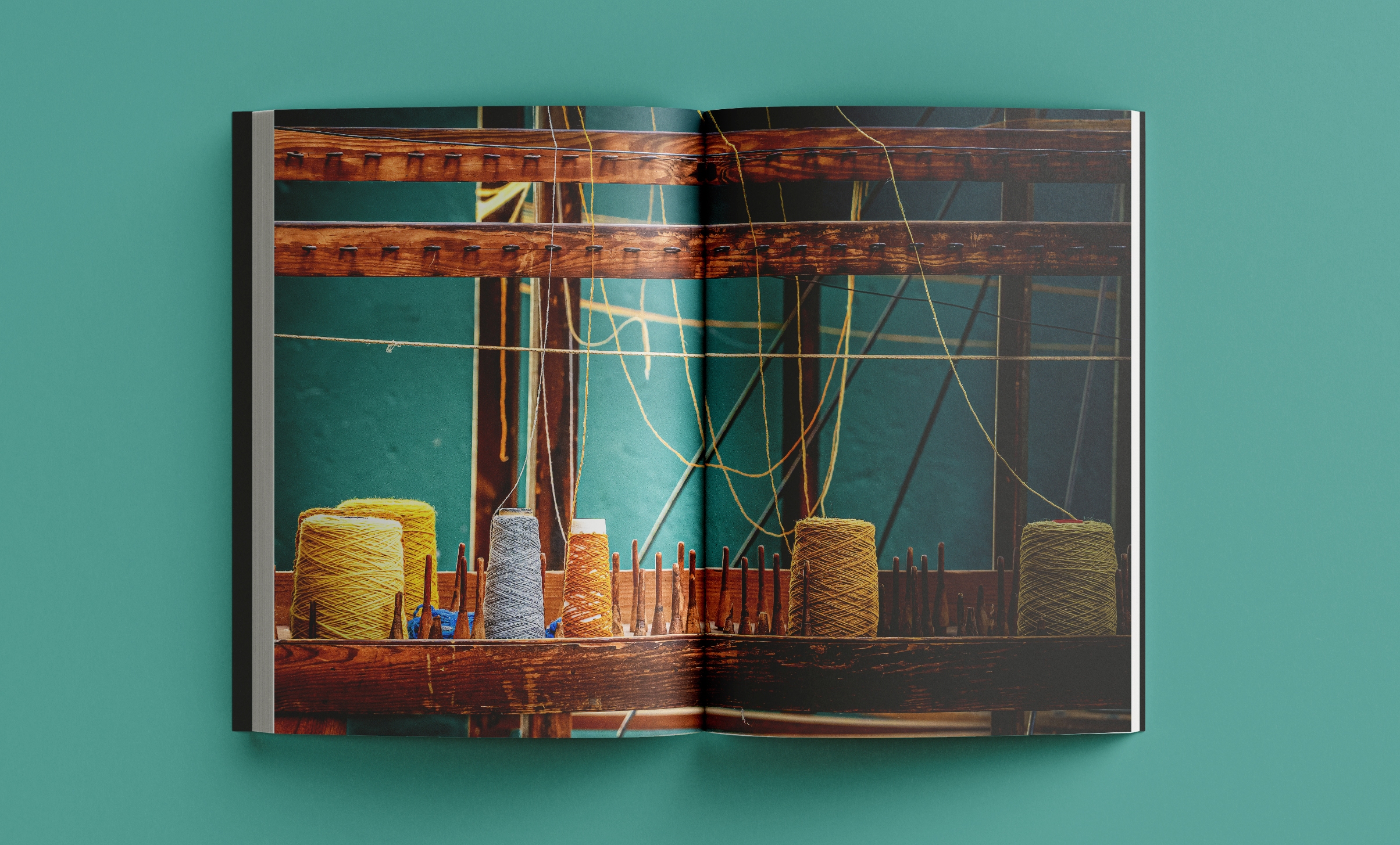 Revista Arrels #21 / Hivern 2026 - Imatge 3