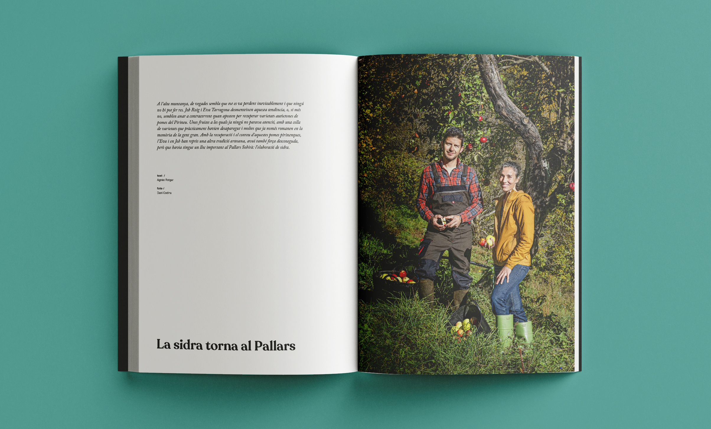 Revista Arrels #21 / Hivern 2026 - Imatge 6