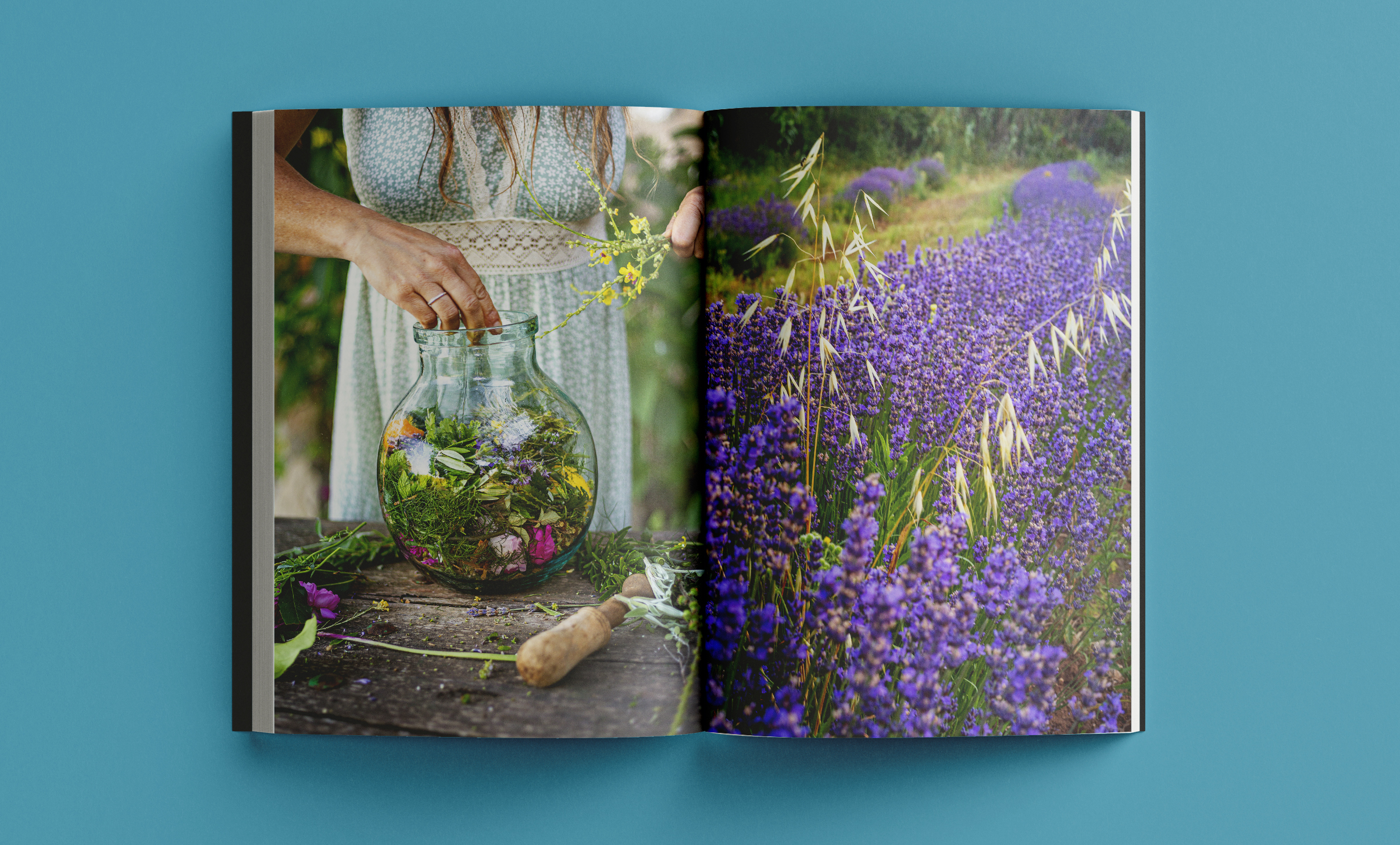 Revista Arrels #22 / Primavera 2026 - Imatge 8