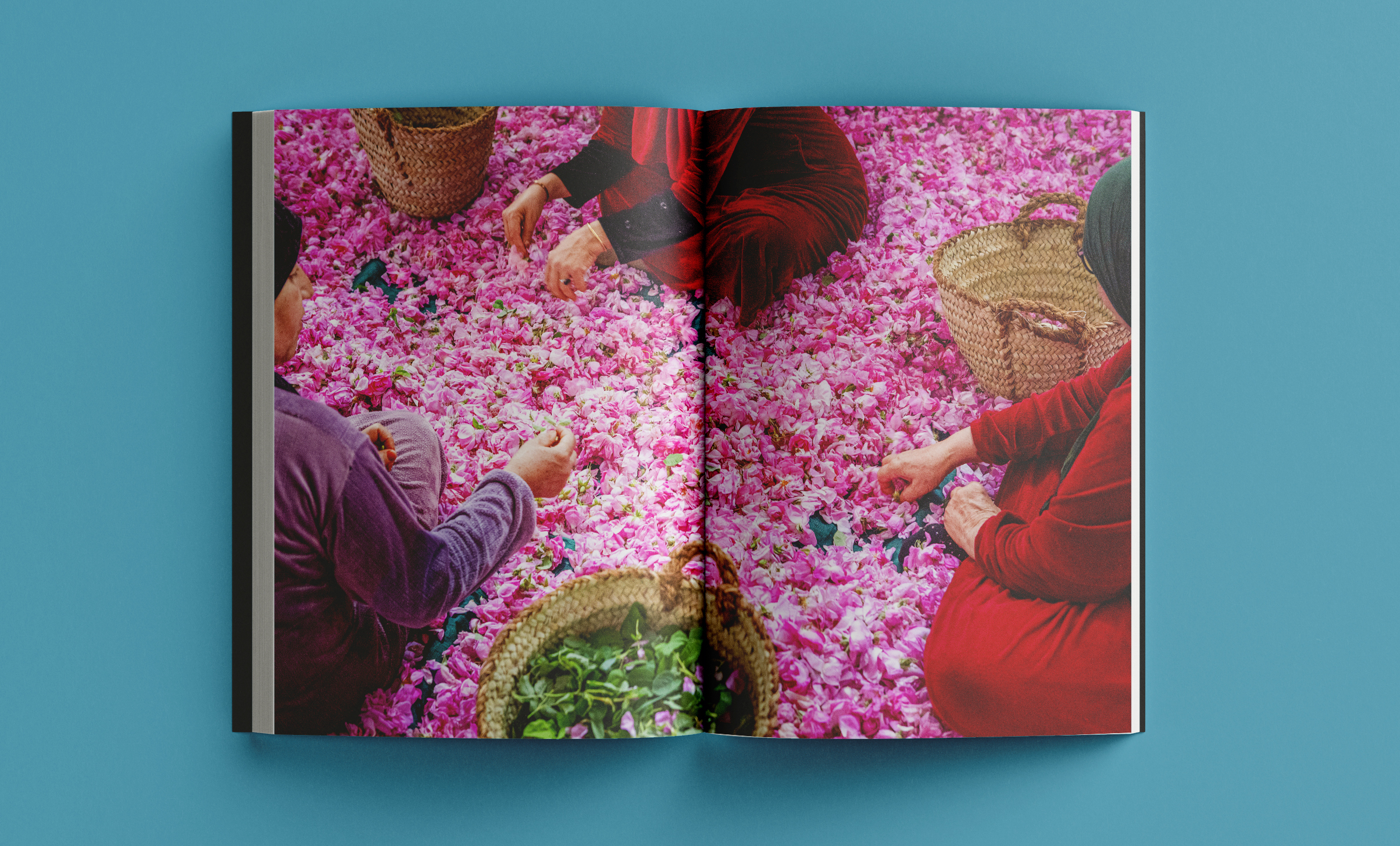 Revista Arrels #22 / Primavera 2026 - Imatge 5