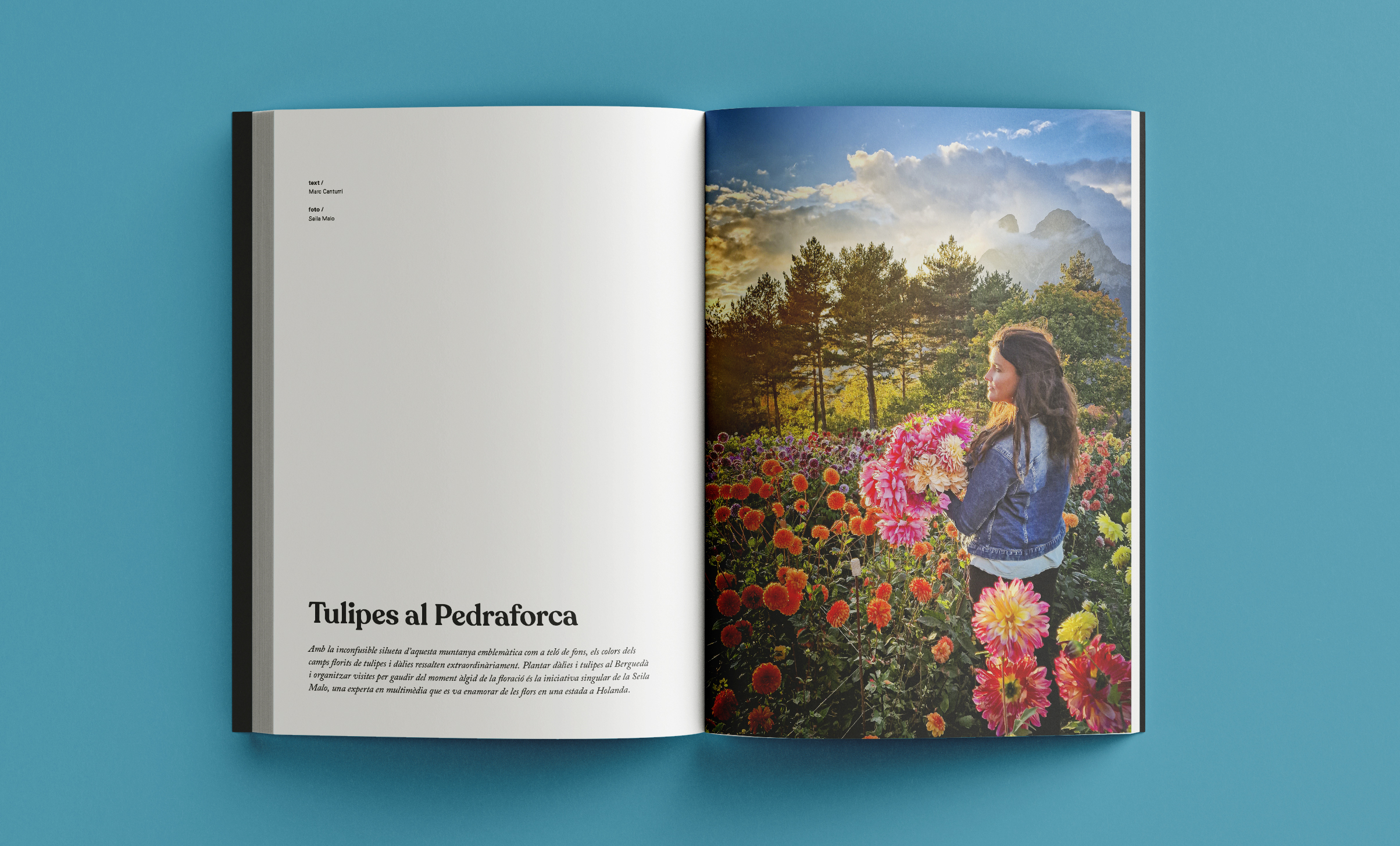 Revista Arrels #22 / Primavera 2026 - Imatge 3